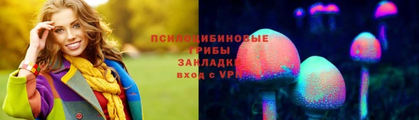 метадон Алексеевка