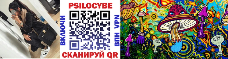 Галлюциногенные грибы прущие грибы  что такое   Чишмы 